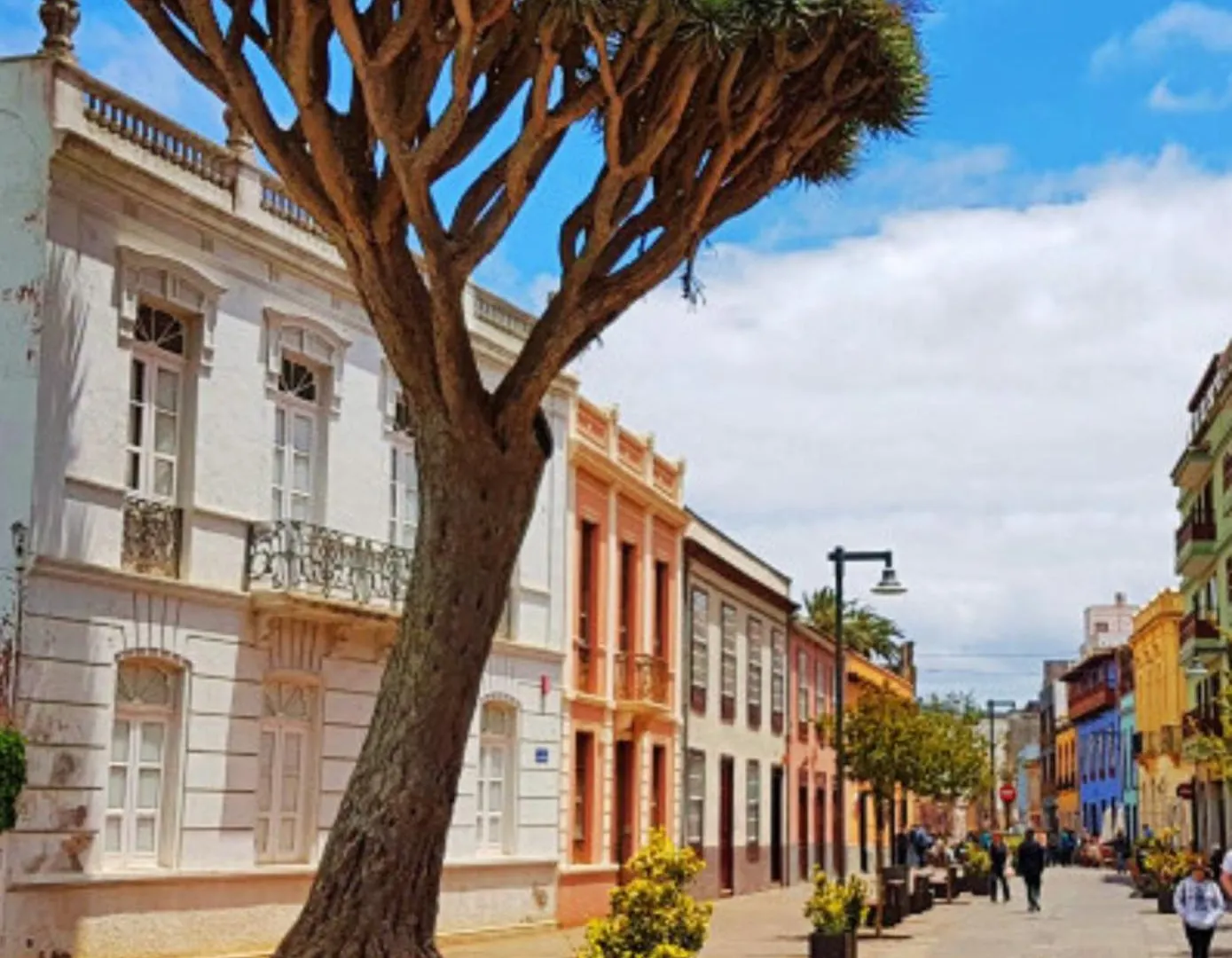 Acogedor Apartamento En El Corazon De La Laguna La Laguna  Spain